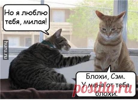 Мой Мир@Mail.Ru