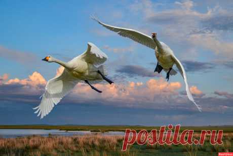 Фотолюбитель Виктор Хамин. . Фотосайт Расфокус.ру