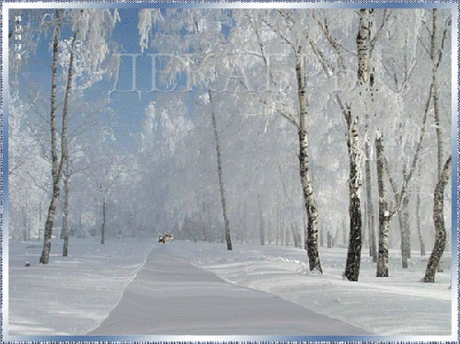 0_94c96_29d45f22_L.gif (500×374)