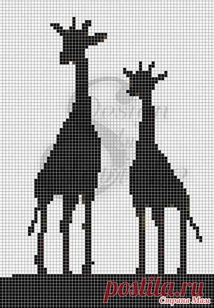 Жирафы для детей и взрослых - Жаккард - Страна Мам