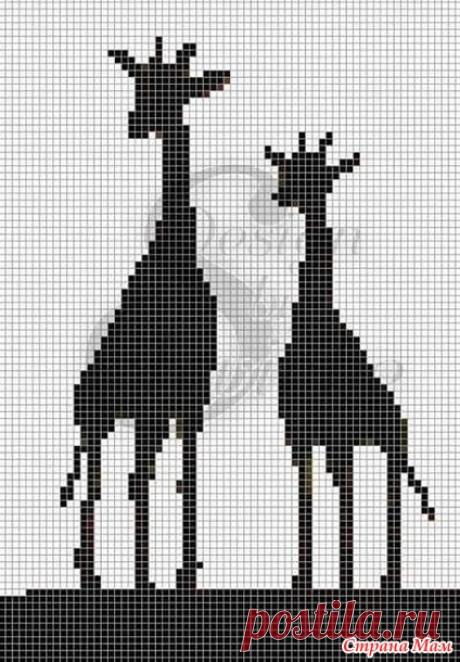 Жирафы для детей и взрослых - Жаккард - Страна Мам