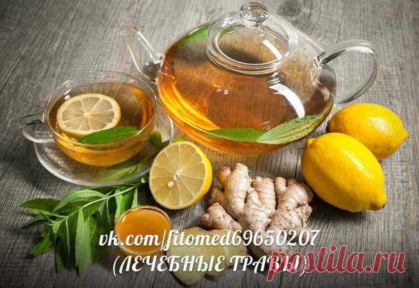 ЛЕЧЕБНЫЕ ТРАВЫ- Лечение народной медициной | ЗОЖ