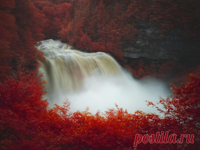 The World Is Beautiful