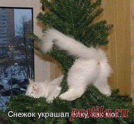 .Happy  ... NY !!!