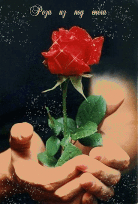 Google+