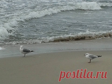 Фаина Смолова