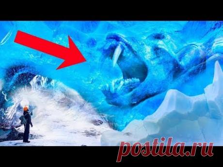 Эти 5 находок во льду порвали весь мир. Это стоит посмотреть