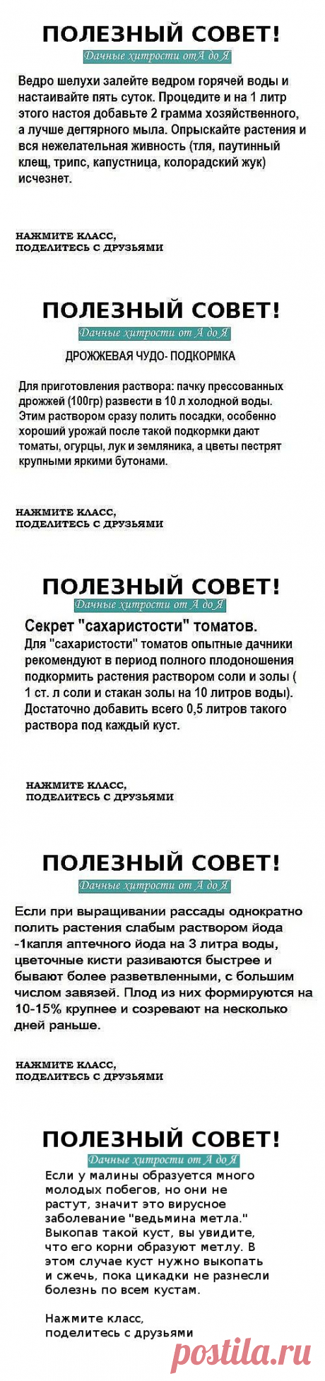 (23) Одноклассники