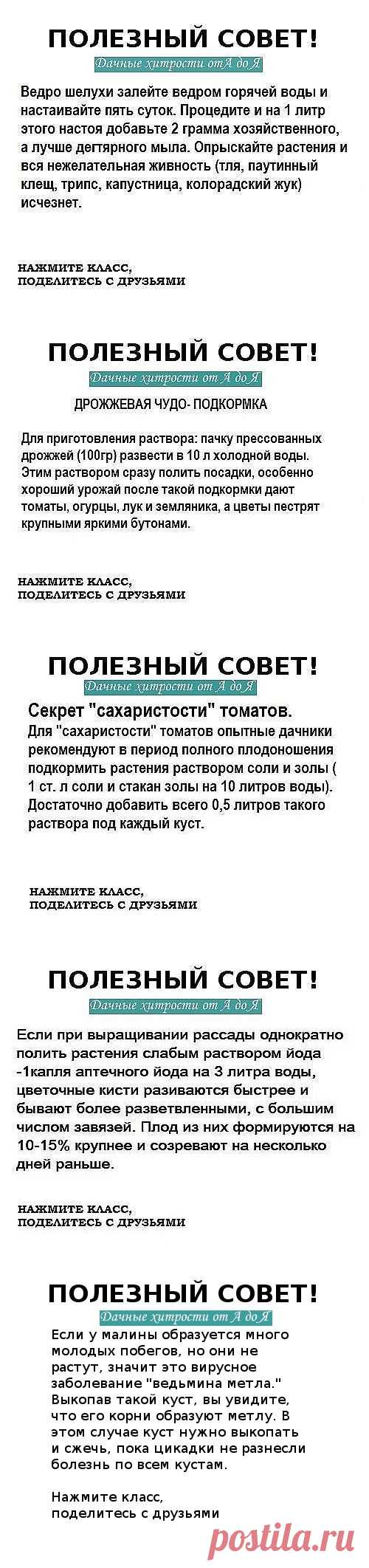 (23) Одноклассники