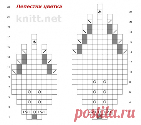 Яндекс.Фотки