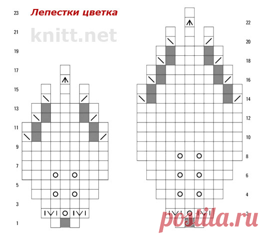 Яндекс.Фотки