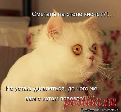 Улыбнись! Жизнь прекрасна!