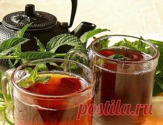 Средства и травы, выводящие мокроту из легких и бронхов: