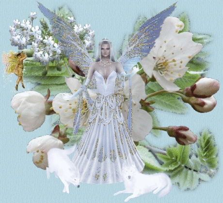Белый крылатый ангел, белые волки, белые цветы, Ангелы девушки Анимация, анимашки в гостевую бесплатно