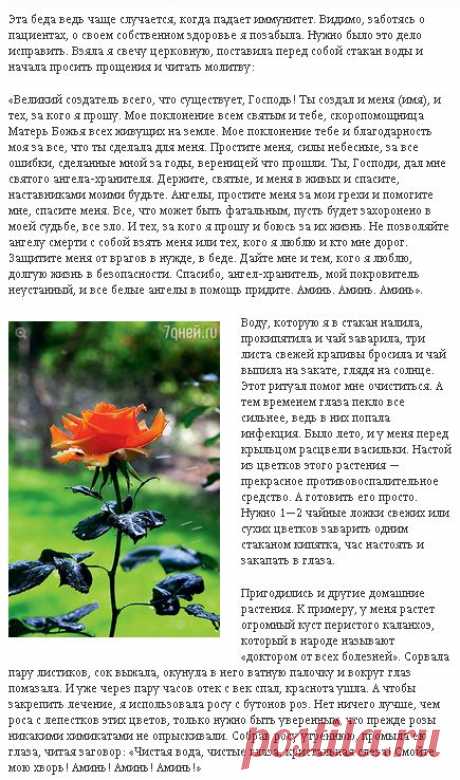 ВОСПАЛЕНИЕ ГЛАЗ !!!  **Быстро сними жжение и успокой глаза: Молитва, Крапива 3листа и вода 1ст, Сок каланхоэ. **Конъюнктивит -сбор: вода 1ст, тмин плоды 1ст/л -кипяти 25мин; введи -цветки василька 1ч/л, подорожник 2шт, трава лекарс/очанки -провари 15мин, а затем стоит у печи 12ч. Затем -капай в глаза, и заговор -обняв иву: Ива, плакунья, как ты пьешь воду, так бы и у меня выпила слезу горючую, слезу плакучую. Да будет так! Аминь -3р. //Народные рецепты от Ольги Анохиной.