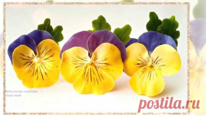 цветы из фоамирана анютины глазки - 2 488 картинок. Поиск Mail.Ru