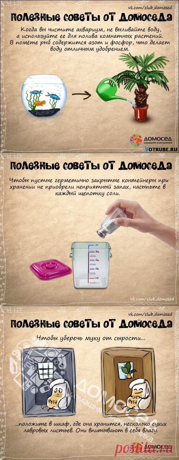 Советы от Домоседа. Просто и полезно! | ЖЕНСКИЙ  МИР