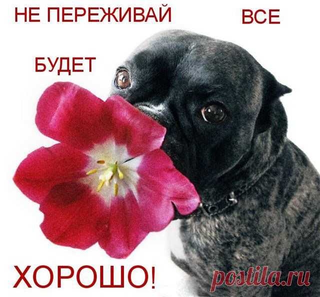 Не переживай