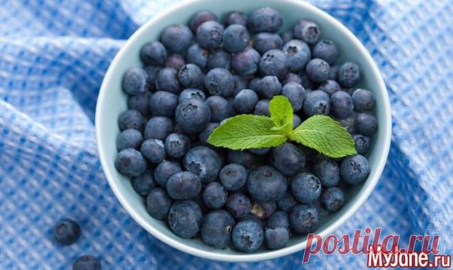 Топ-новости похудения. Друзья и черника творят чудеса! - черника, диеты, друзья, похудение, похудеть,