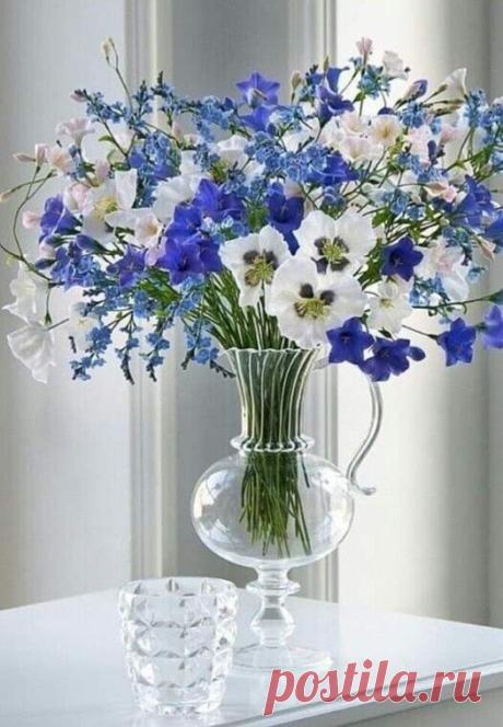 i (525×758)