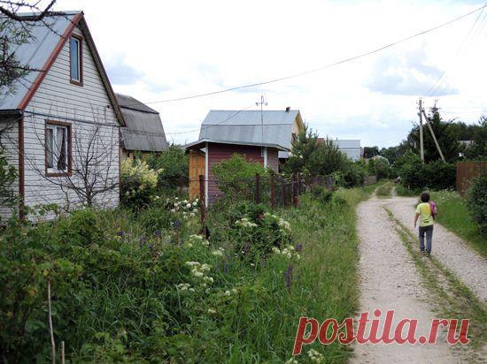 Отнимем дачу. Выгодно! / Закон и Порядок