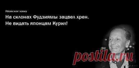 Цитаты задорнова в картинках