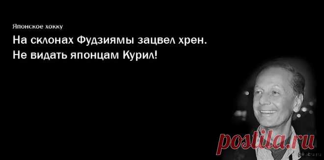 Цитаты задорнова в картинках