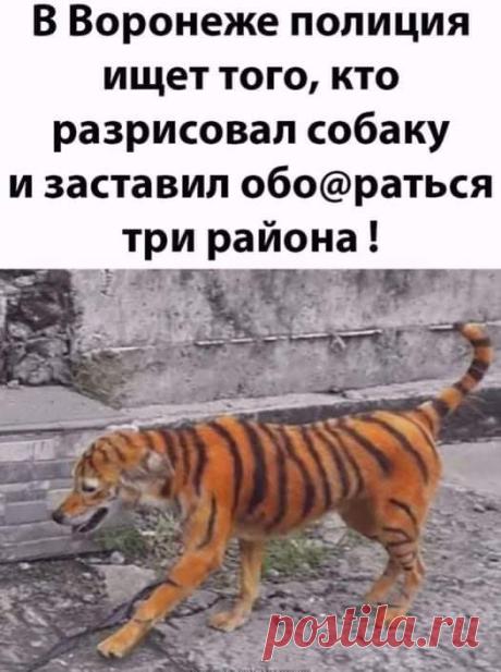 (20+) Facebook