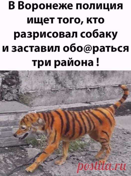 (20+) Facebook