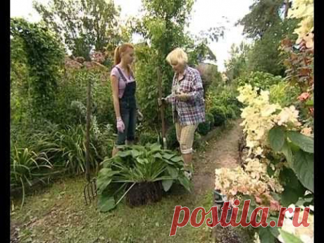 Пересаживаем хосты - уДачные советы