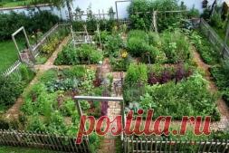 Как подготовить свой огород перед поездкой в отпуск - Садоводка