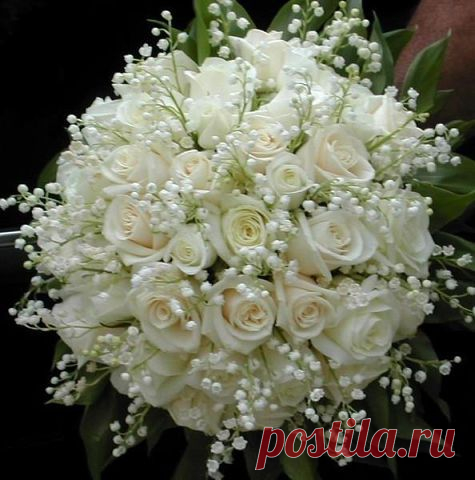 хх