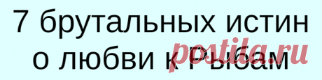 7 брутальных истин о любви к Рыбам
7 брутальных истин о любви к Рыбам Рыбы-женщины — интуитивные, привлекательные и очень обаятельные штучки. Они обладают творческой жилкой, состраданием и задатками идеального партнера. Но у каждого знака Зодиака есть свои недостатки. Вот 7 жестоких истин о Рыбах: Они — интуиты и доверяют себе больше, чем остальным Не пытайтесь лгать Рыбам, потому что они это […]
Читай дальше на сайте. Жми подробнее ➡