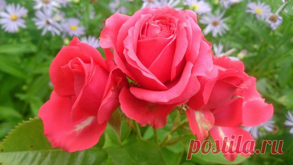 10 Сентября 2016 г. – Суббота • Всемирный день оказания первой медицинской помощи 16 лет • День разноцветных букетов • Всемирный день предотвращения самоубийств (World Suicide Prevention Day) • День занюхивателя • День города Москвы 869 лет • День физической культуры и спорта - Украина • День украинского кино • День наследия американских индейцев • День Учителя - КНР • Именины у Анны, Моисея, Афанасия, Дионисия, Феодора,Григория, Иосифа, Павла, Анатолия, Вениамина, Кассиана, Арсения, Игнатия