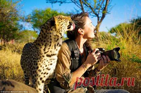 Бесстрашная фотограф из ЮАР, с которой дикие звери становятся ручными : gorlenka