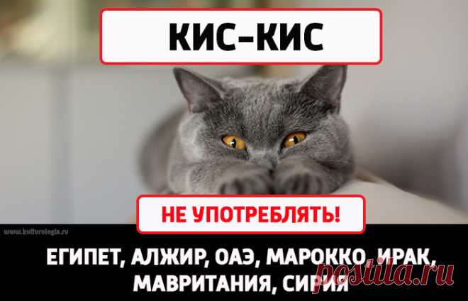 10 безобидных слов из русского языка, которые в других странах могут принять за ругательство — Infodays