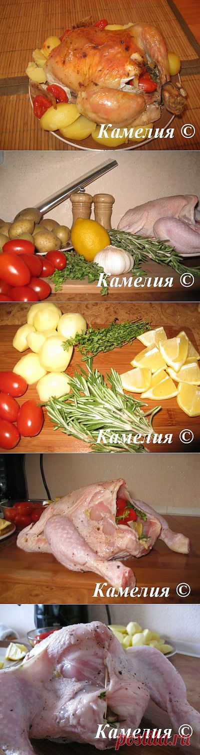 Курица, запеченная с лимоном и помидорами черри : Вторые блюда