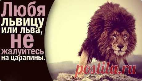 Карина: Да, у меня сложный характер…, но каждый сам выбирает, завести котенка или приручить львицу..