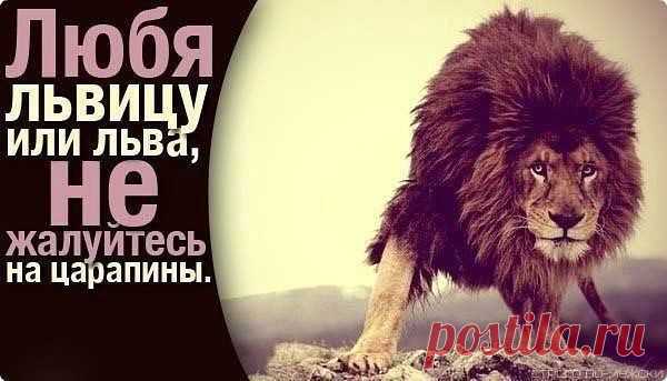 Карина: Да, у меня сложный характер…, но каждый сам выбирает, завести котенка или приручить львицу..