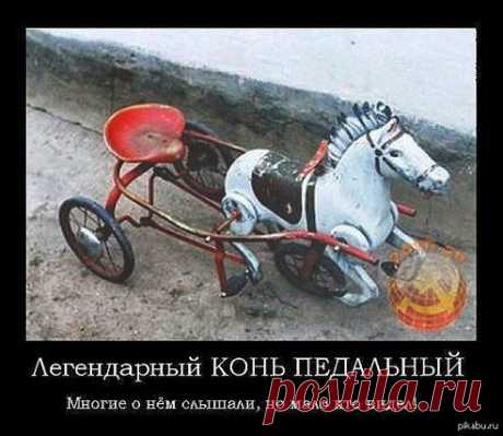 Многие о нём слышали, но мало кто видел.