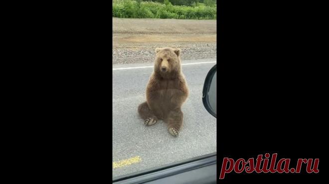 Его мимишность просто зашкаливает