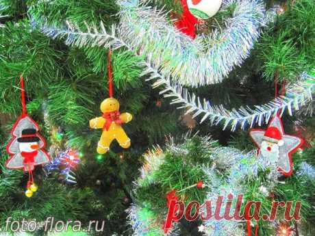 Новогодний антураж: фото и поздравление - Фотозарисовки