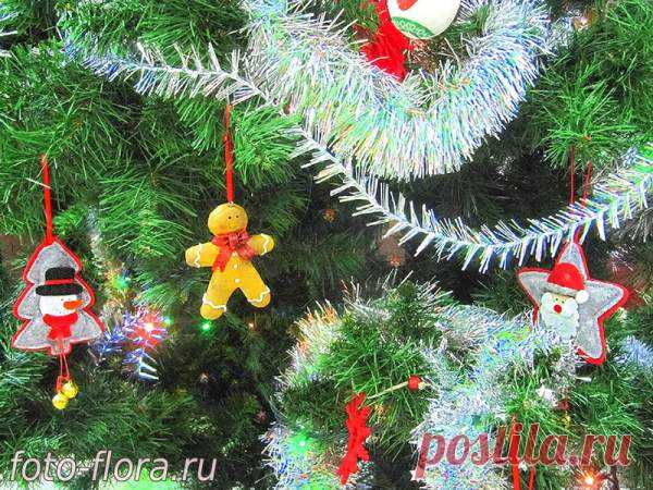 Новогодний антураж: фото и поздравление - Фотозарисовки