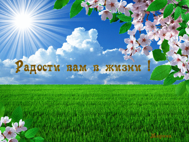 1145267.gif (800×600)
