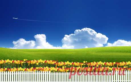 clear_sky-widescreen_wallpapers.jpg (Изображение JPEG, 1920 × 1200 пикселов) - Масштабированное (64%)