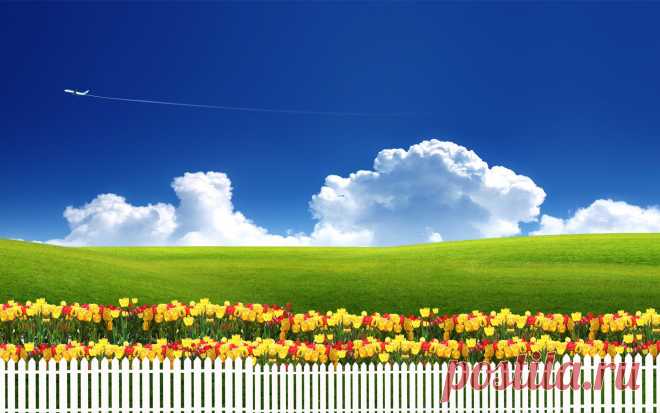 clear_sky-widescreen_wallpapers.jpg (Изображение JPEG, 1920 × 1200 пикселов) - Масштабированное (64%)