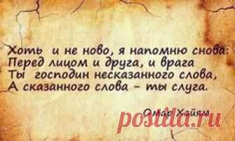 Сохранённые фотографии – 282 фотографии