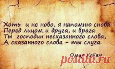 Сохранённые фотографии – 282 фотографии