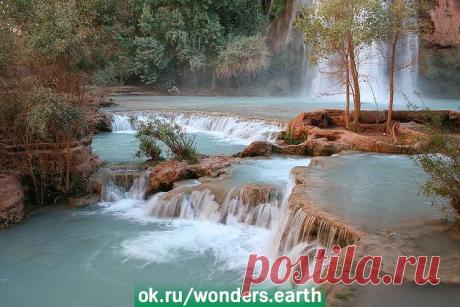 (1) Одноклассники