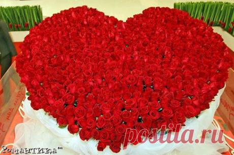 Две разные вещи: любовь и влюбленность. Одна - бесконечность, вторая - сезонность. И обе заманчивы, обе красивы и обе обманчивы... Обе игривы... Откуда мы знаем, где счастливы станем. В влюбленность играем... Любовь упускаем...